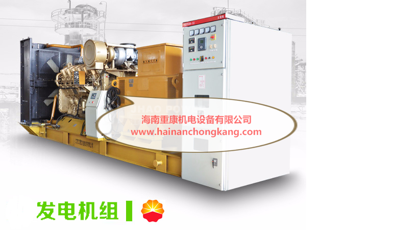 广州上柴股份柴油发电机组订购现场案例
